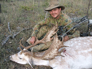 Deer taken in Australia by Liberty Bow