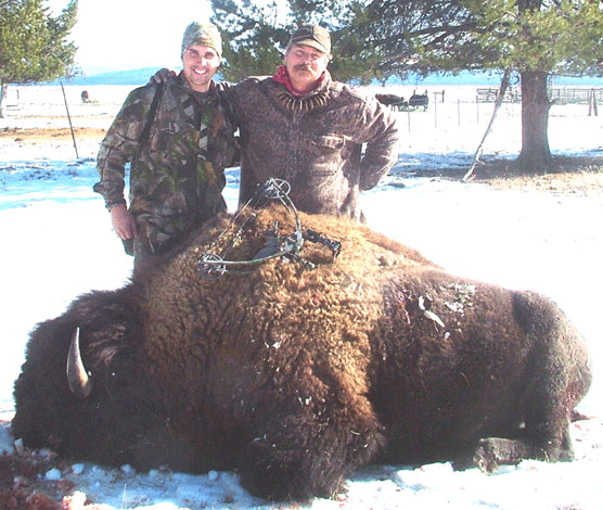 Tiny compound bow by Liberty on top of huge buffalo