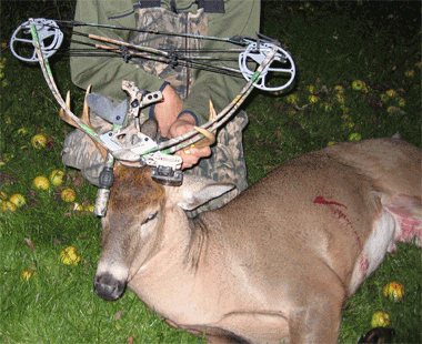 Deer hunting in Canada got this deer with Liberty bow