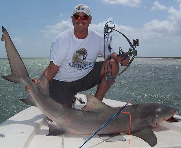 Don bags shark with liberty bow